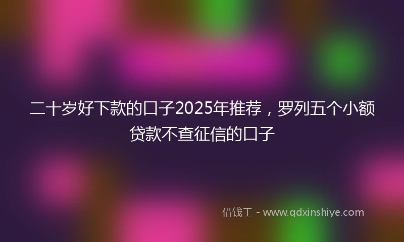 二十岁好下款的口子2025年推荐，罗列五个小额贷款不查征信的口子