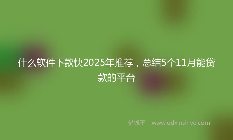 什么软件下款快2025年推荐，总结5个11月能贷款的平台