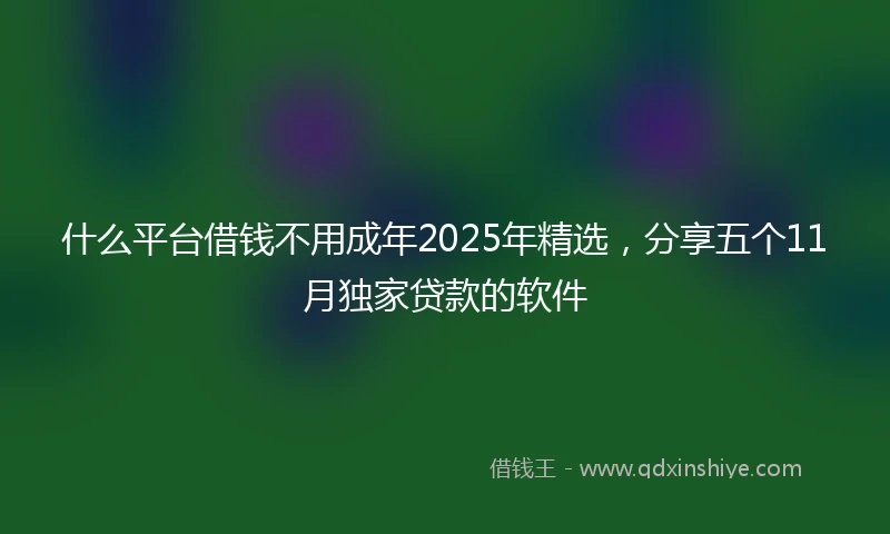 什么平台借钱不用成年2025年精选，分享五个11月独家贷款的软件