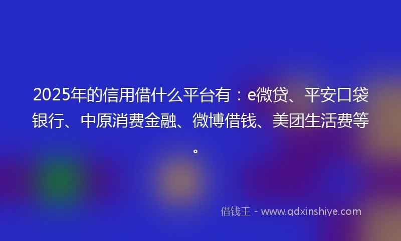 2025年的信用借什么平台有：e微贷、平安口袋银行、中原消费金融、微博借钱、美团生活费等。