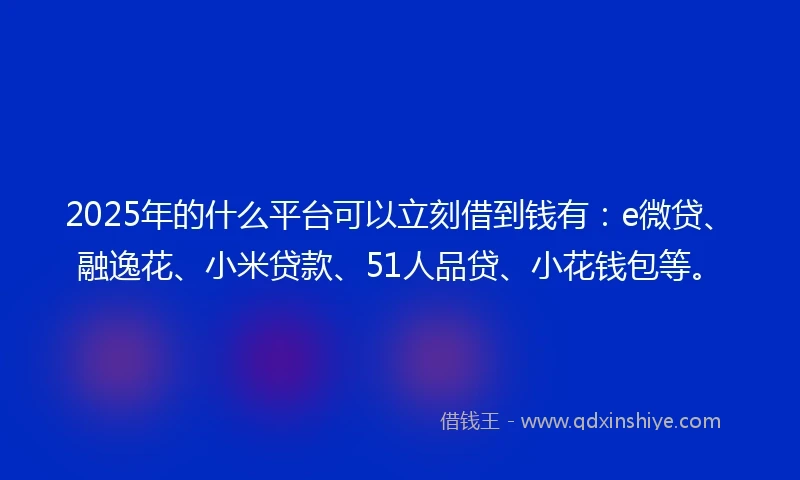 2025年的什么平台可以立刻借到钱有：e微贷、融逸花、小米贷款、51人品贷、小花钱包等。
