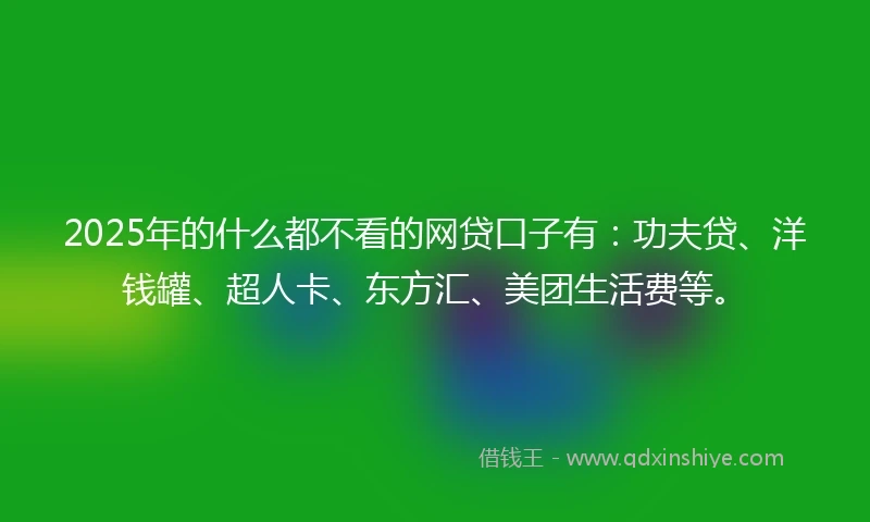 2025年的什么都不看的网贷口子有：功夫贷、洋钱罐、超人卡、东方汇、美团生活费等。