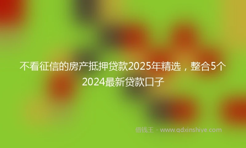 不看征信的房产抵押贷款2025年精选，整合5个2024最新贷款口子