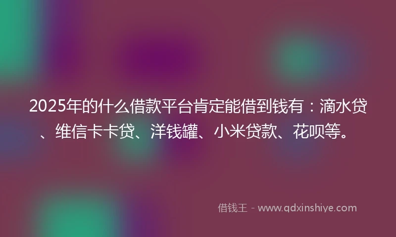 2025年的什么借款平台肯定能借到钱有：滴水贷、维信卡卡贷、洋钱罐、小米贷款、花呗等。