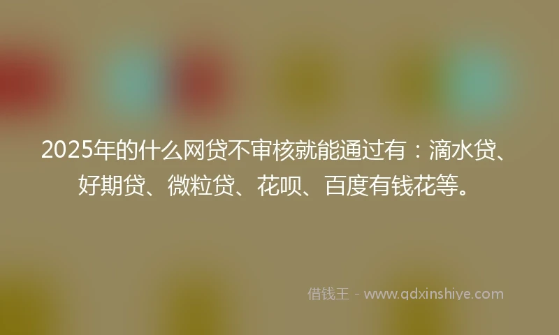 2025年的什么网贷不审核就能通过有：滴水贷、好期贷、微粒贷、花呗、百度有钱花等。