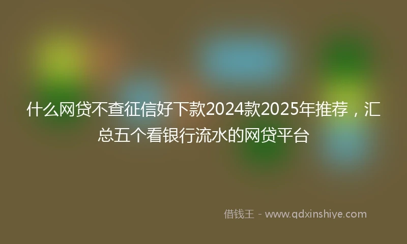 什么网贷不查征信好下款2024款2025年推荐，汇总五个看银行流水的网贷平台