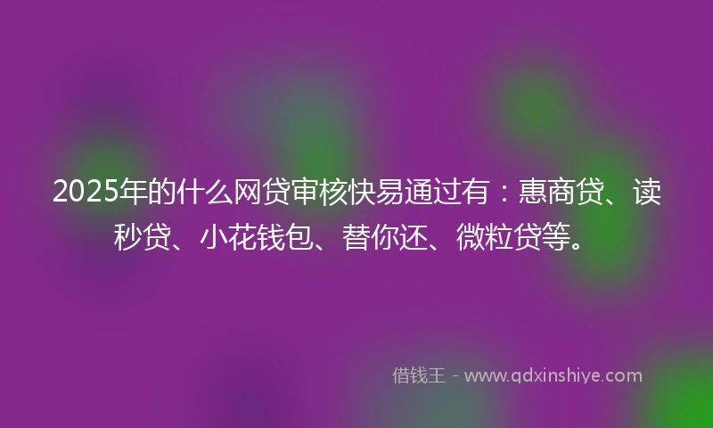 2025年的什么网贷审核快易通过有：惠商贷、读秒贷、小花钱包、替你还、微粒贷等。