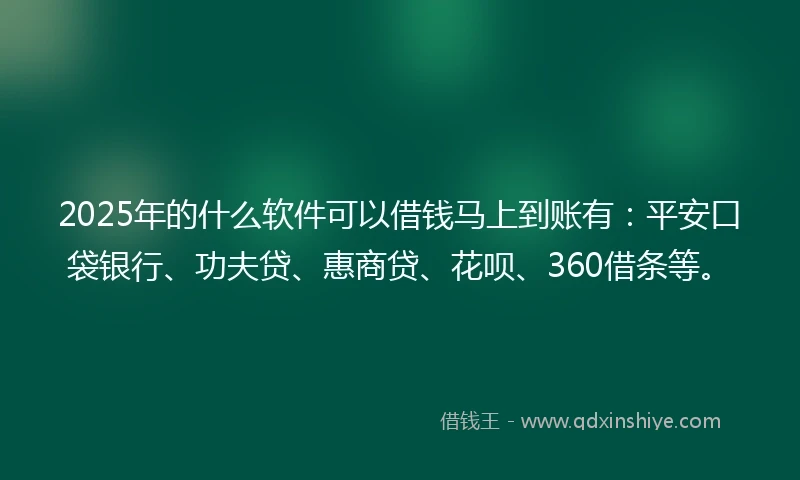 2025年的什么软件可以借钱马上到账有：平安口袋银行、功夫贷、惠商贷、花呗、360借条等。