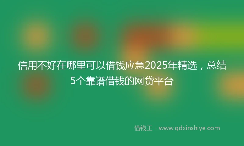 信用不好在哪里可以借钱应急2025年精选，总结5个靠谱借钱的网贷平台