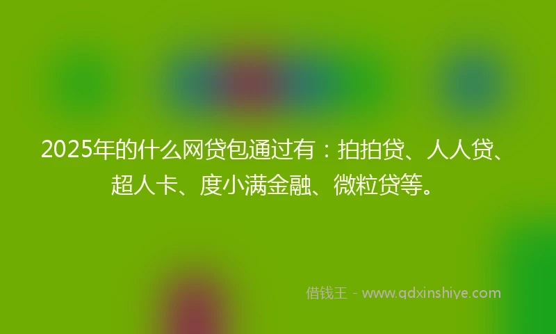 2025年的什么网贷包通过有：拍拍贷、人人贷、超人卡、度小满金融、微粒贷等。