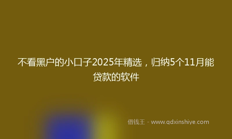 不看黑户的小口子2025年精选，归纳5个11月能贷款的软件