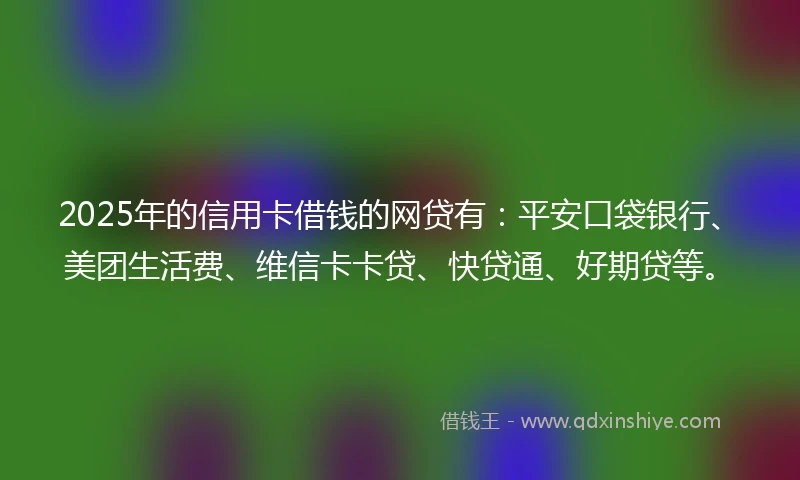 2025年的信用卡借钱的网贷有：平安口袋银行、美团生活费、维信卡卡贷、快贷通、好期贷等。