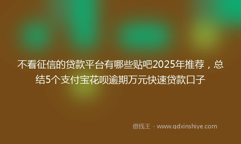 不看征信的贷款平台有哪些贴吧2025年推荐，总结5个支付宝花呗逾期万元快速贷款口子