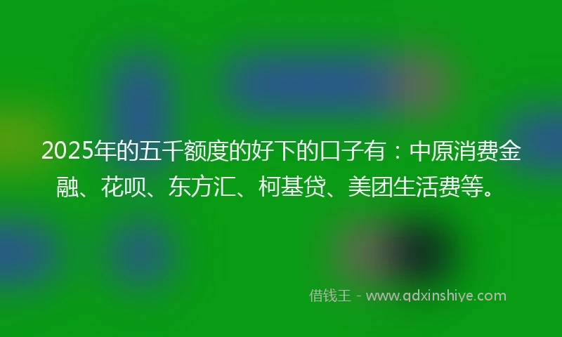 2025年的五千额度的好下的口子有：中原消费金融、花呗、东方汇、柯基贷、美团生活费等。