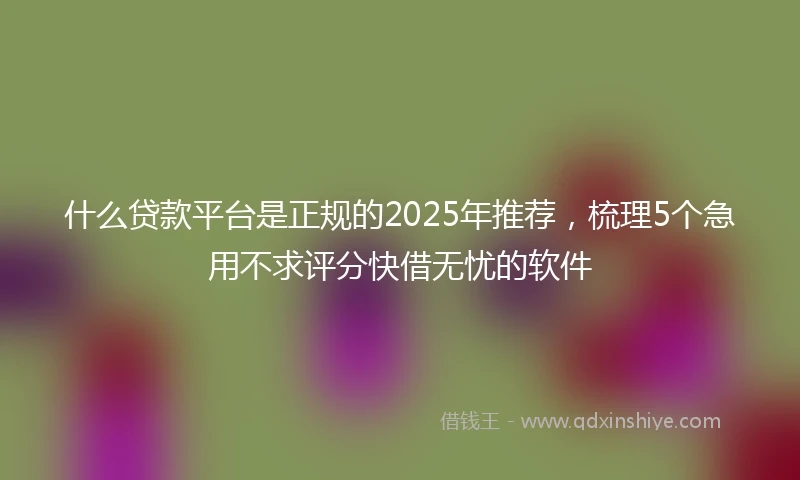什么贷款平台是正规的2025年推荐，梳理5个急用不求评分快借无忧的软件
