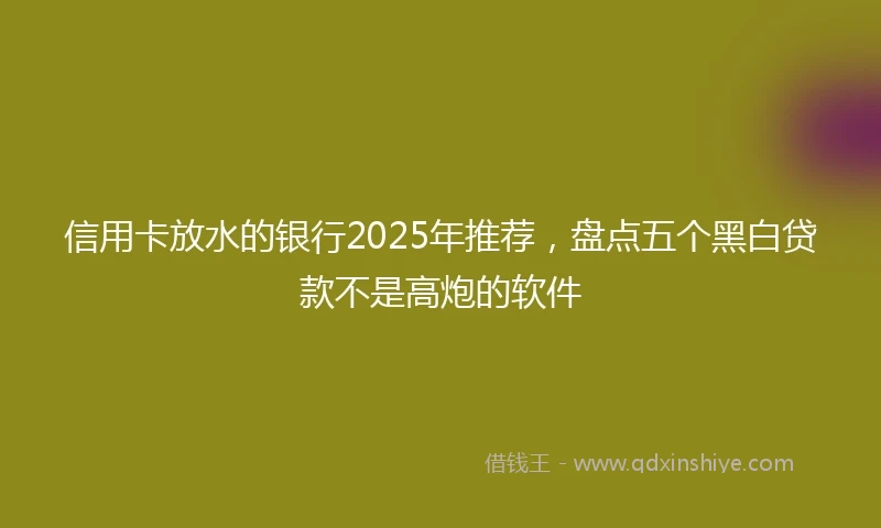 信用卡放水的银行2025年推荐，盘点五个黑白贷款不是高炮的软件