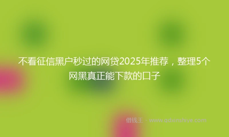 不看征信黑户秒过的网贷2025年推荐，整理5个网黑真正能下款的口子