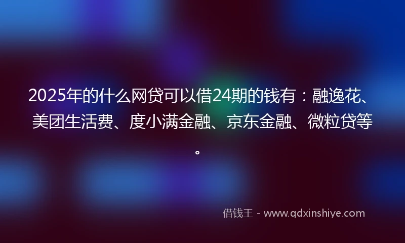 2025年的什么网贷可以借24期的钱有：融逸花、美团生活费、度小满金融、京东金融、微粒贷等。