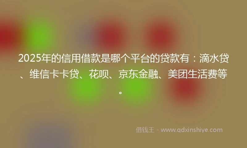 2025年的信用借款是哪个平台的贷款有：滴水贷、维信卡卡贷、花呗、京东金融、美团生活费等。