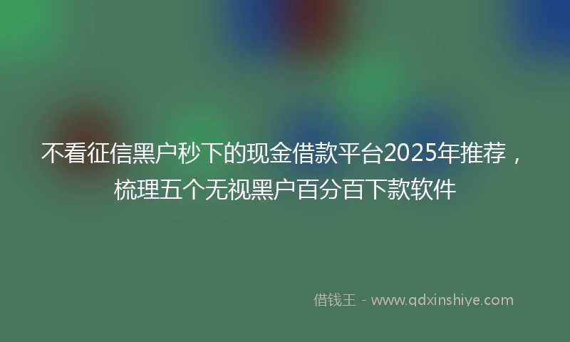 不看征信黑户秒下的现金借款平台2025年推荐，梳理五个无视黑户百分百下款软件