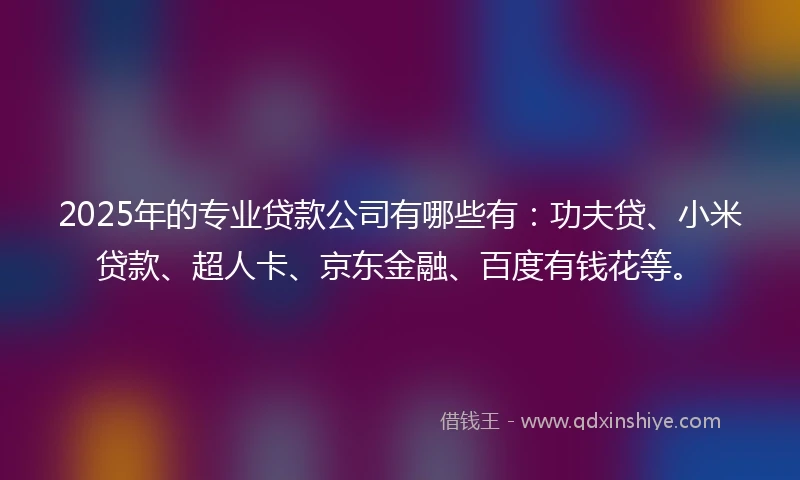 2025年的专业贷款公司有哪些有：功夫贷、小米贷款、超人卡、京东金融、百度有钱花等。