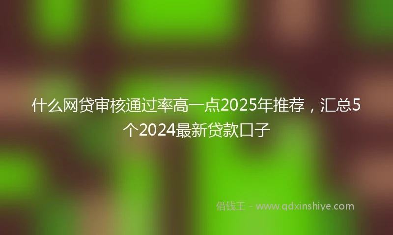 什么网贷审核通过率高一点2025年推荐，汇总5个2024最新贷款口子