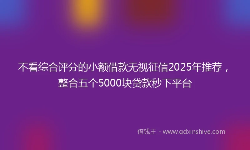 不看综合评分的小额借款无视征信2025年推荐，整合五个5000块贷款秒下平台