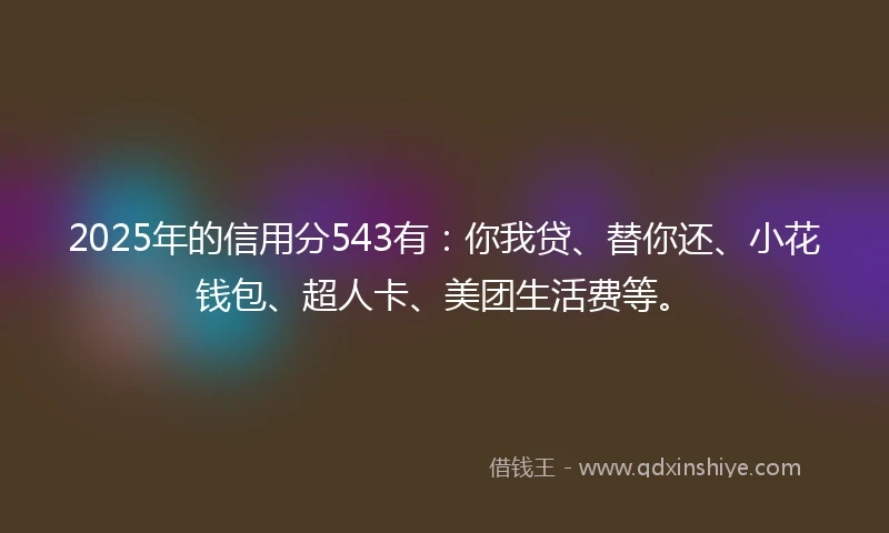 2025年的信用分543有：你我贷、替你还、小花钱包、超人卡、美团生活费等。