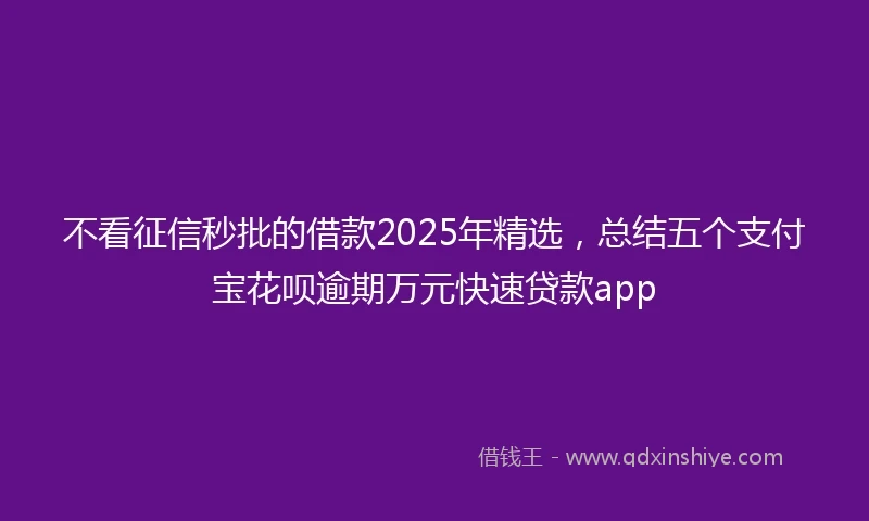 不看征信秒批的借款2025年精选，总结五个支付宝花呗逾期万元快速贷款app