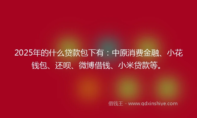 2025年的什么贷款包下有：中原消费金融、小花钱包、还呗、微博借钱、小米贷款等。
