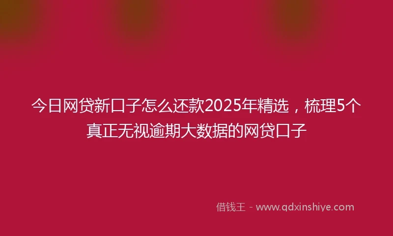 今日网贷新口子怎么还款2025年精选，梳理5个真正无视逾期大数据的网贷口子