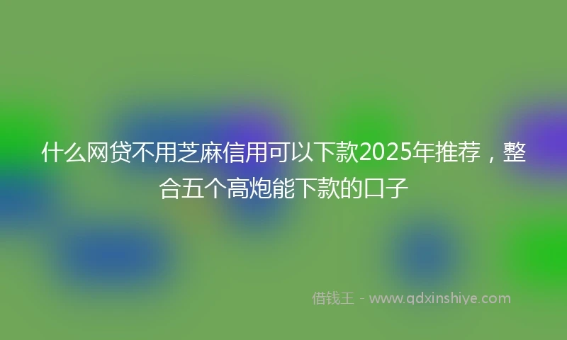 什么网贷不用芝麻信用可以下款2025年推荐，整合五个高炮能下款的口子