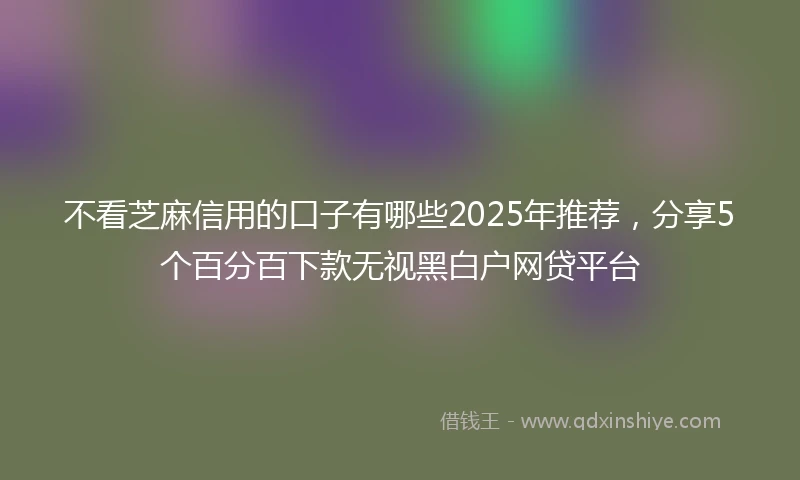 不看芝麻信用的口子有哪些2025年推荐，分享5个百分百下款无视黑白户网贷平台