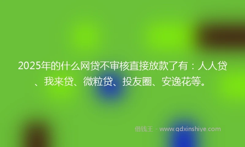 2025年的什么网贷不审核直接放款了有：人人贷、我来贷、微粒贷、投友圈、安逸花等。