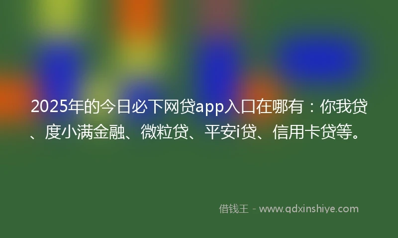 2025年的今日必下网贷app入口在哪有：你我贷、度小满金融、微粒贷、平安i贷、信用卡贷等。