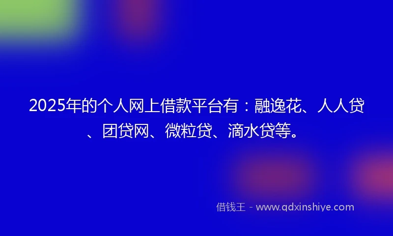 2025年的个人网上借款平台有：融逸花、人人贷、团贷网、微粒贷、滴水贷等。