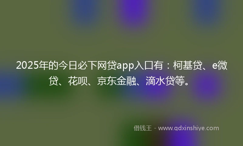 2025年的今日必下网贷app入口有：柯基贷、e微贷、花呗、京东金融、滴水贷等。