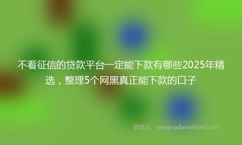 不看征信的贷款平台一定能下款有哪些2025年精选，整理5个网黑真正能下款的口子
