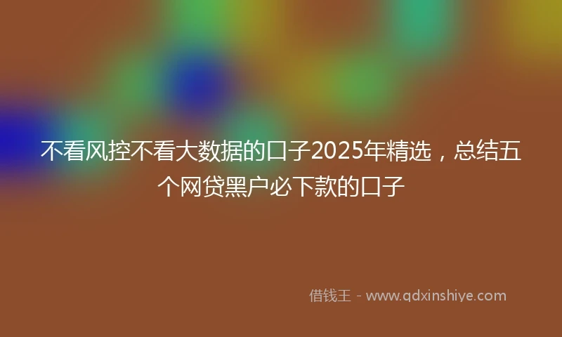 不看风控不看大数据的口子2025年精选，总结五个网贷黑户必下款的口子