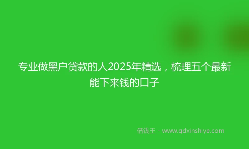 专业做黑户贷款的人2025年精选，梳理五个最新能下来钱的口子