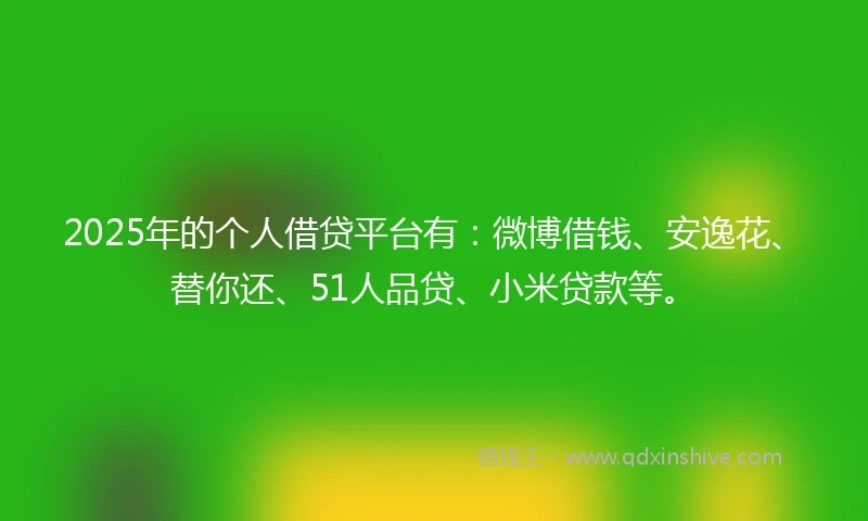 2025年的个人借贷平台有：微博借钱、安逸花、替你还、51人品贷、小米贷款等。