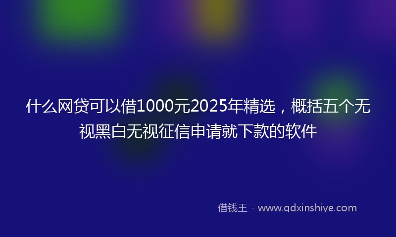 什么网贷可以借1000元2025年精选，概括五个无视黑白无视征信申请就下款的软件
