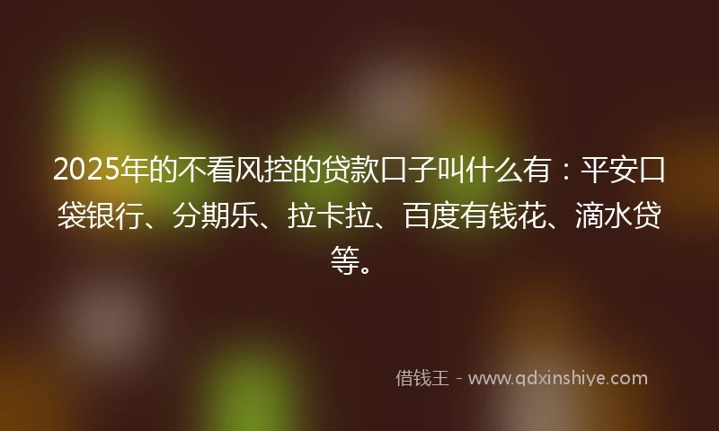 2025年的不看风控的贷款口子叫什么有：平安口袋银行、分期乐、拉卡拉、百度有钱花、滴水贷等。