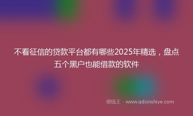 不看征信的贷款平台都有哪些2025年精选，盘点五个黑户也能借款的软件