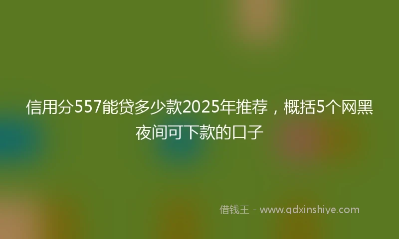 信用分557能贷多少款2025年推荐，概括5个网黑夜间可下款的口子