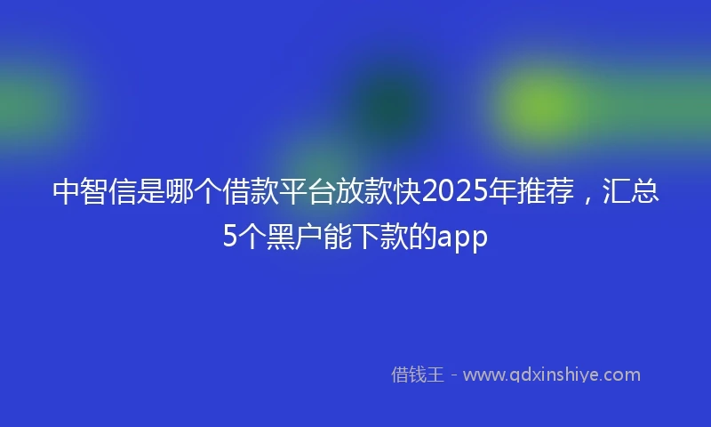 中智信是哪个借款平台放款快2025年推荐，汇总5个黑户能下款的app