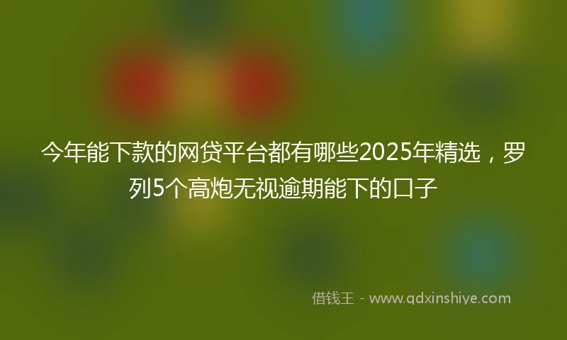 今年能下款的网贷平台都有哪些2025年精选，罗列5个高炮无视逾期能下的口子