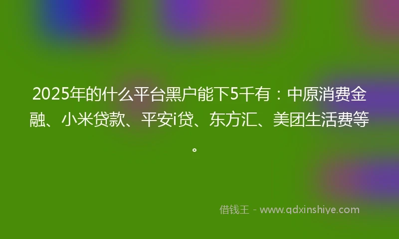 2025年的什么平台黑户能下5千有：中原消费金融、小米贷款、平安i贷、东方汇、美团生活费等。