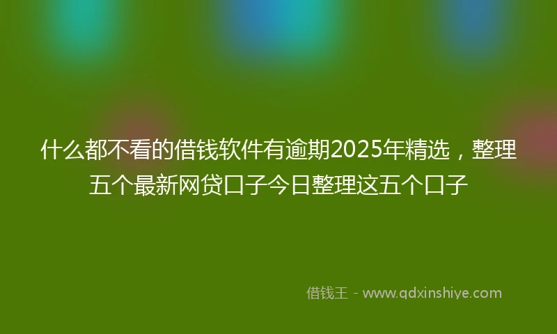 什么都不看的借钱软件有逾期2025年精选，整理五个最新网贷口子今日整理这五个口子