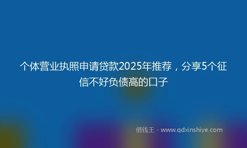 个体营业执照申请贷款2025年推荐，分享5个征信不好负债高的口子